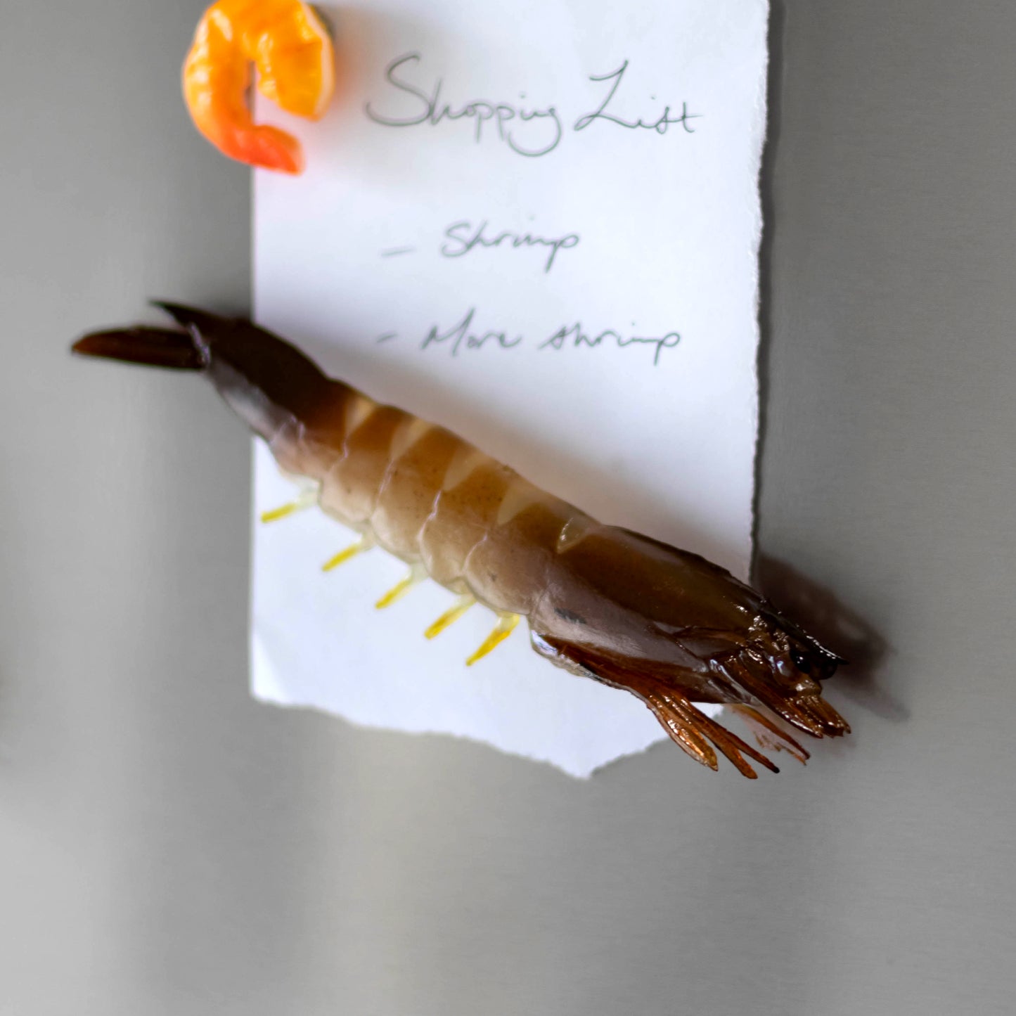 Swimming Shrimp Magnet