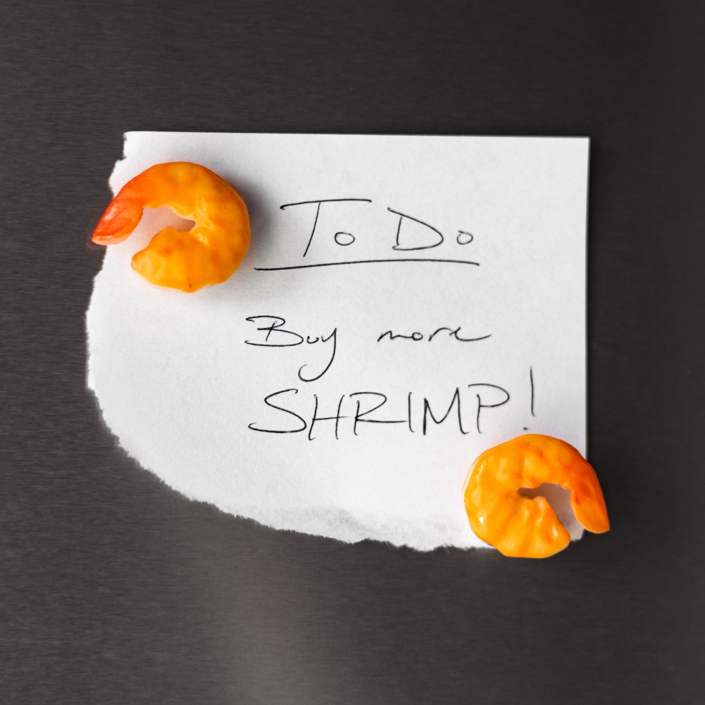 Popcorn Shrimp Magnet