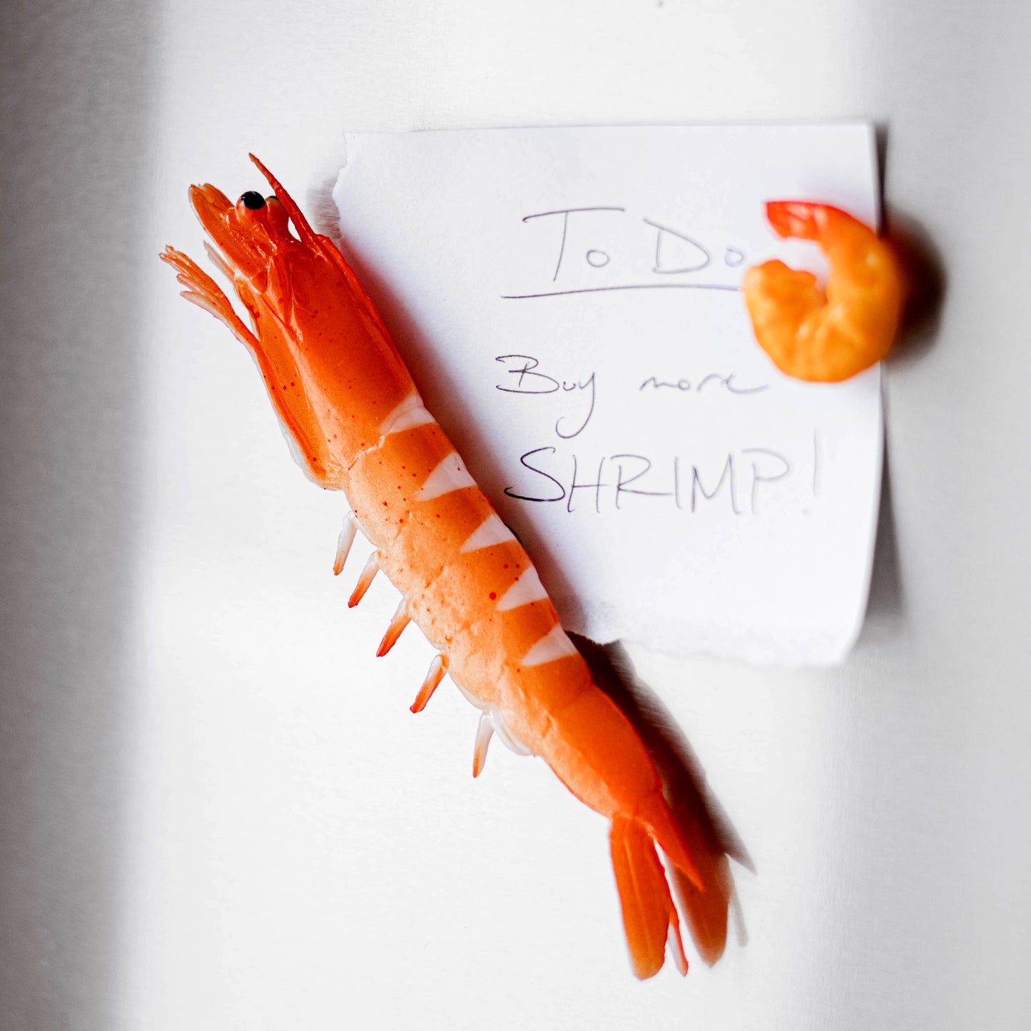 Swimming Shrimp Magnet